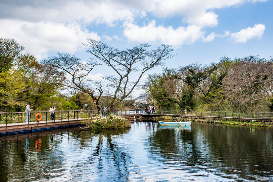 제주도 에코랜드 테마파크 에코 브릿지역 4