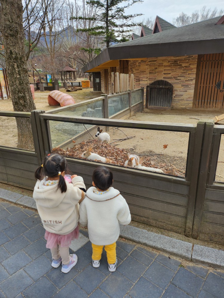 토끼를 보는 아이들