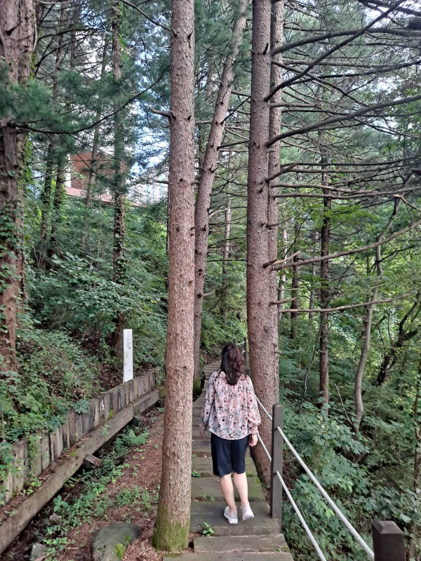 순례길 데크길 걷는중