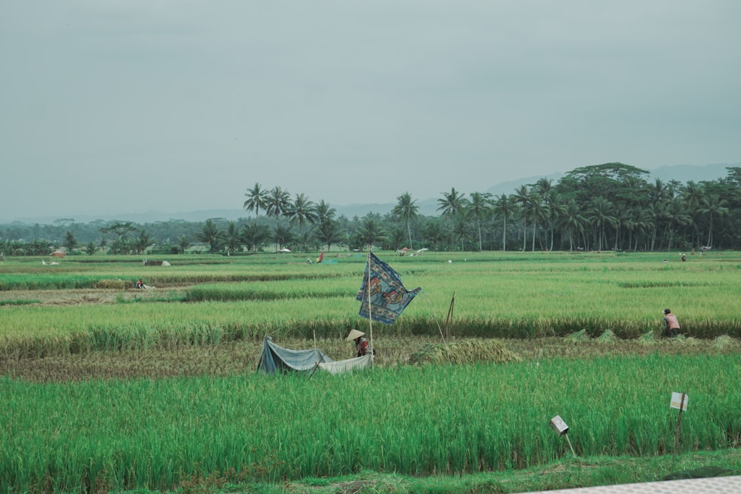 Land use