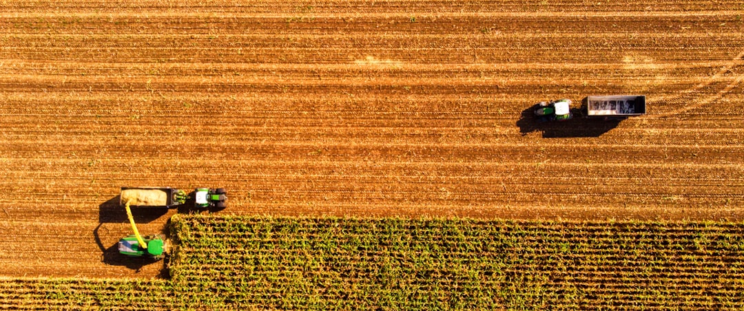 Agricultural subsidy