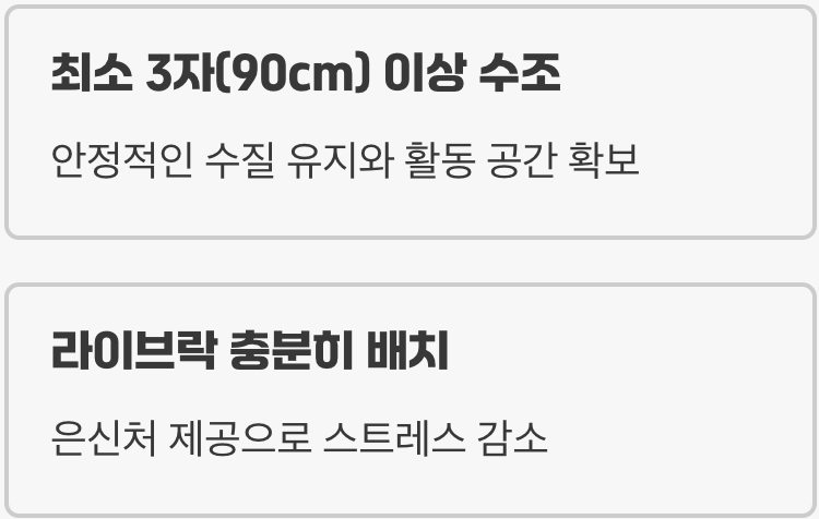 바다를 옮겨온 듯한 생활 공간