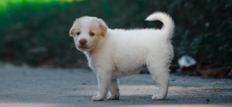 직장인을 위한 훈련 법 관련 사진