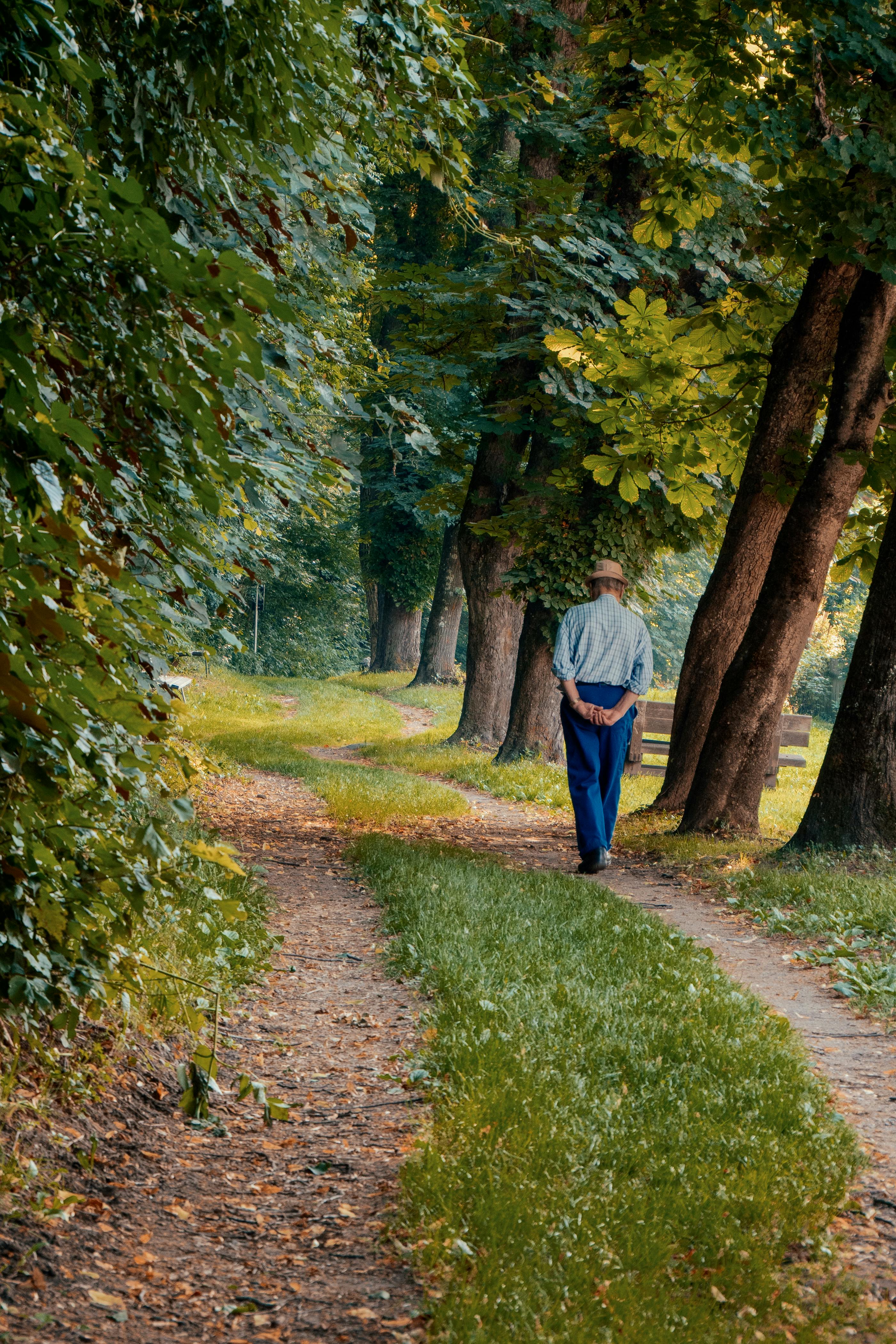 노인 복지카드로 생활비 지원받는 최신 조건