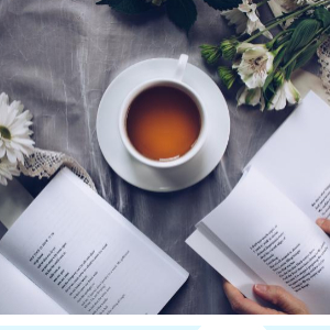 2024 노벨문학상 한강소설