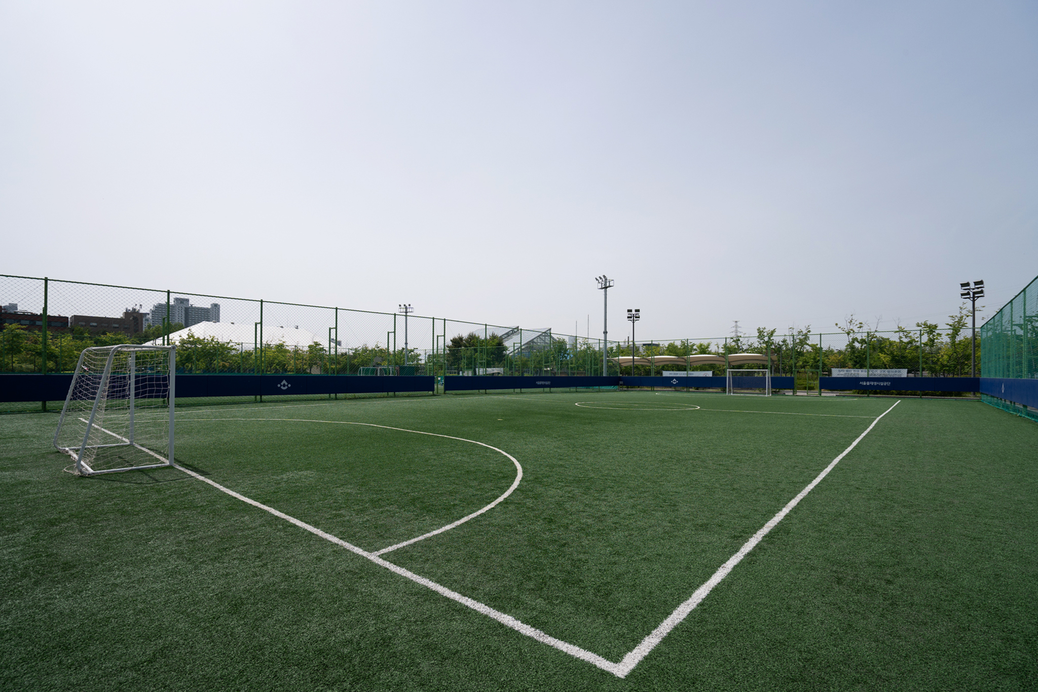 강서구 무료 축구장