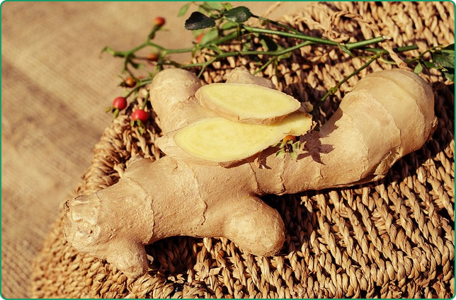 기침 멈추는 법 생강