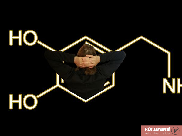 요요가 생기는 과학적 이유