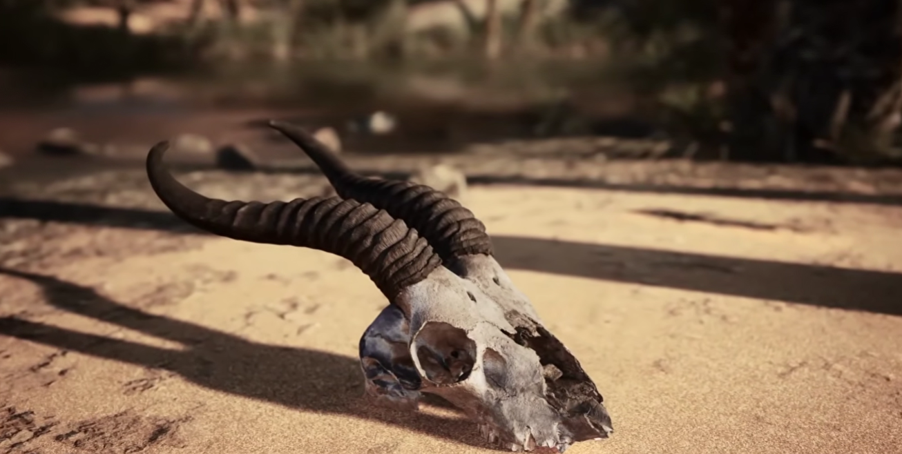 대멸종은 끝이 아니라 방향 전환이었다: 지구의 다섯 번 멸종이 남긴 것