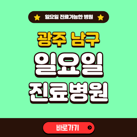 광주 남구 일요일 진료 가능한 병원 ❘ 주말 문여는 곳 총정리 (소아과, 내과, 안과, 치과, 피부과, 정형외과, 산부인과)