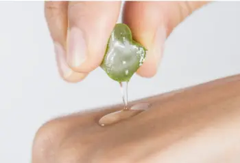 알로에 효능 및 영양성분&amp;#44; 주의점