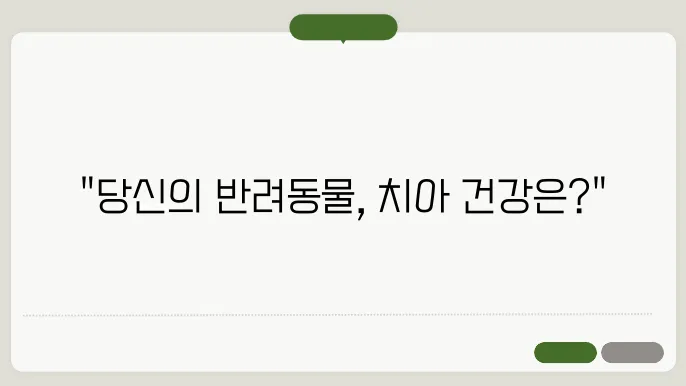 치아 관리 실천을 위한 팁