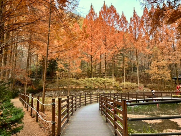 대전 가볼만한곳 베스트10