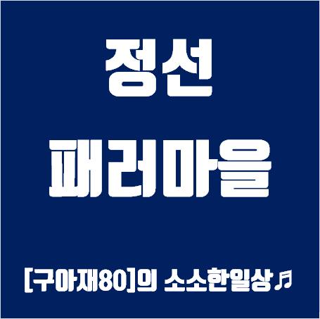 정선 패러글라이딩