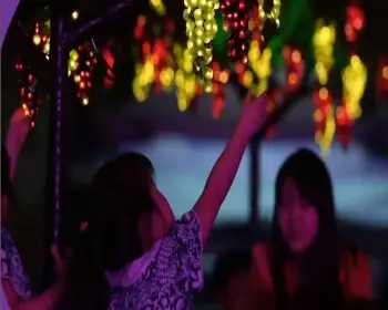 영동포도축제_8