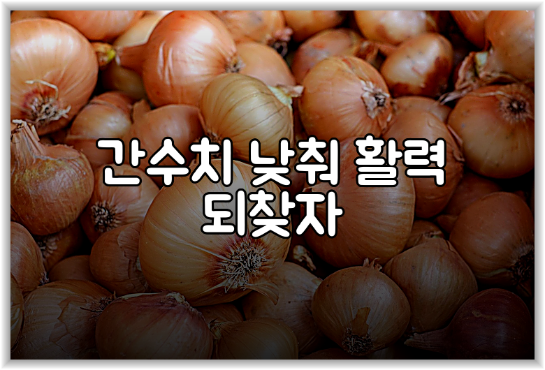 간수치 낮춰 활력 되찾자