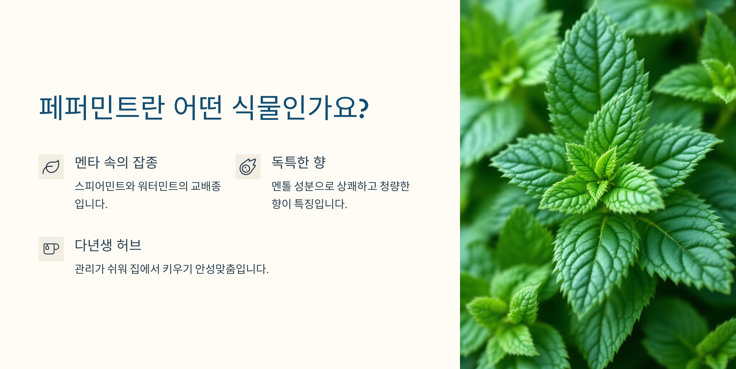 페퍼민트
