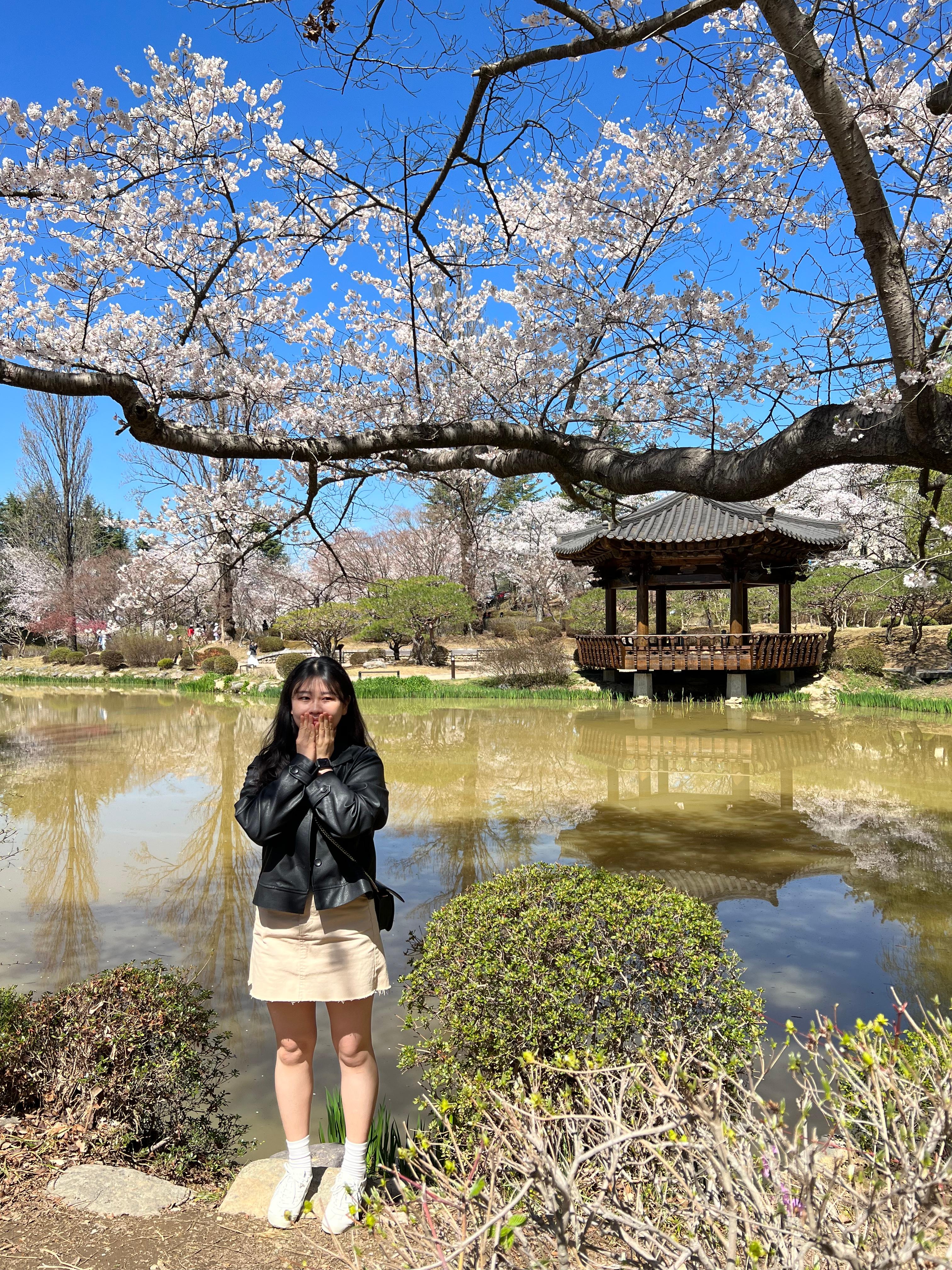 천년의 사랑이 머무는 곳: 경주 황리단길부터 야경 명소까지 완벽 데이트 코스