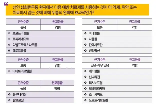 편두통-예방약물