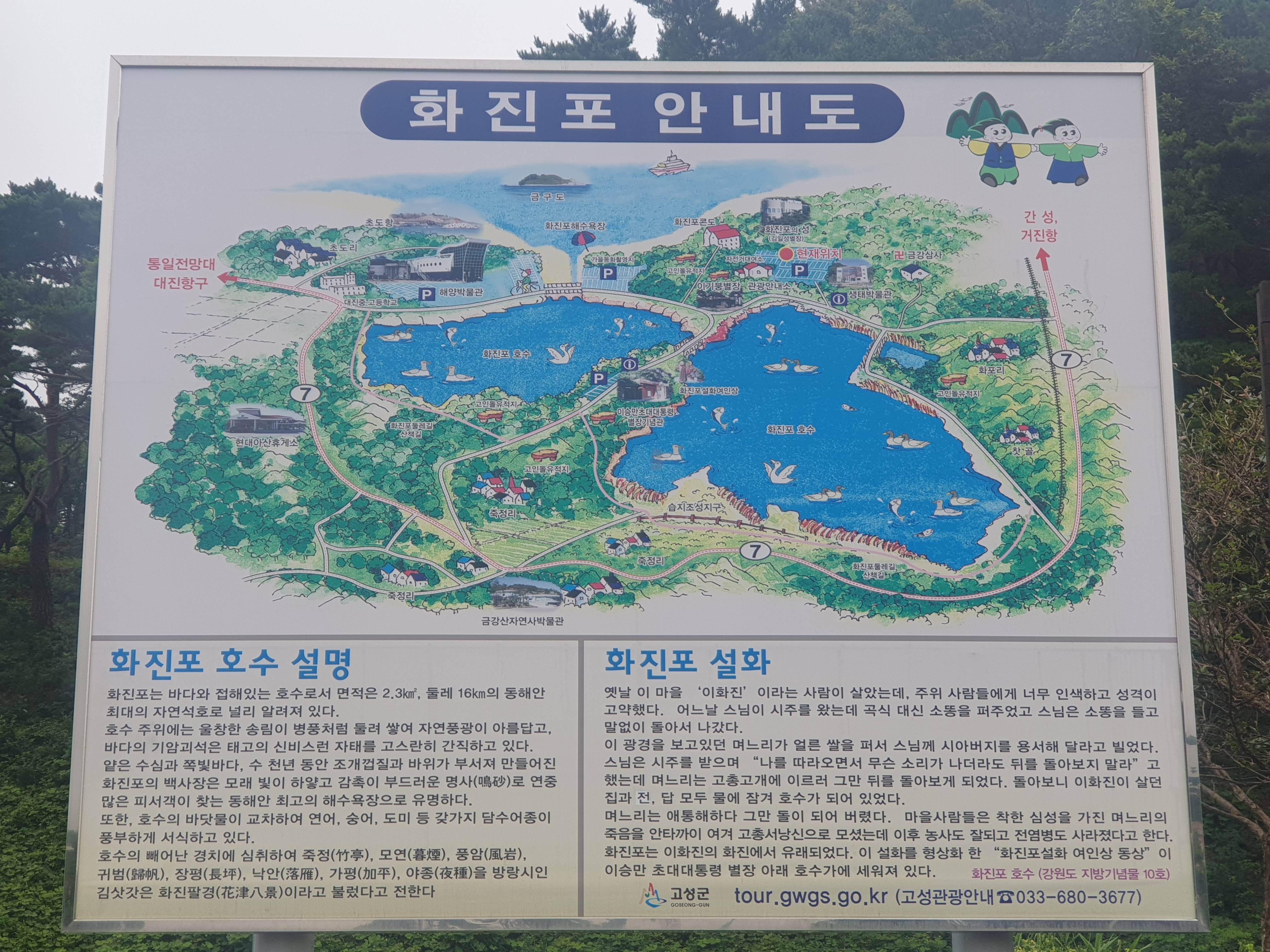화진포 안내도