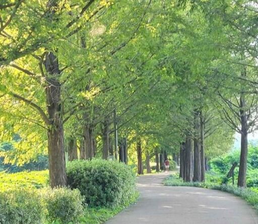 하남 가볼만한곳 베스트 10