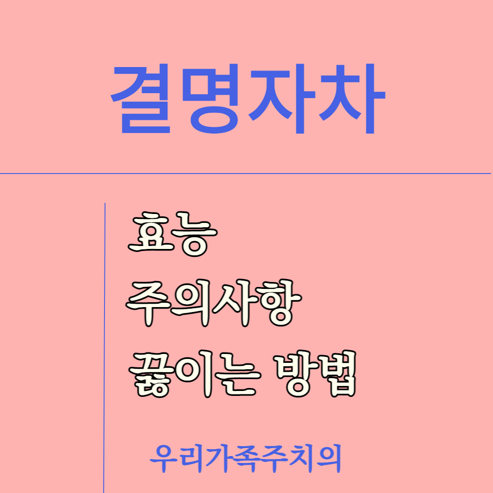 결명자차-효능