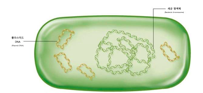 article thumbnail image