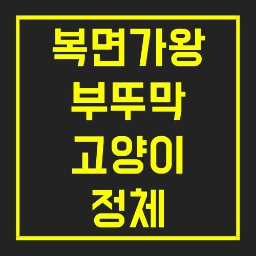 복면가왕 부뚜막 고양이