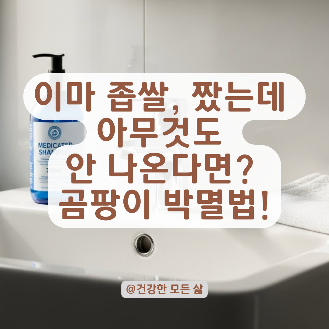 이마 좁쌀 여드름인 줄 알았는데 '곰팡이'라고? 잘못된 진단 멈추고 3일 만에 박멸하는 기적의 습관.