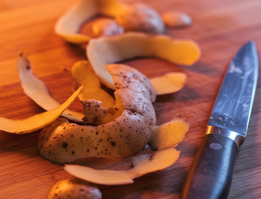 감자 껍질의 재발견