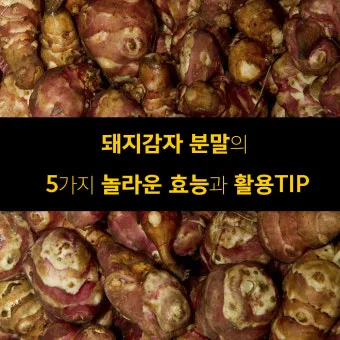 돼지감자 수확시기 먹는법 파종시기_3