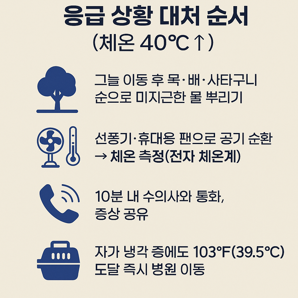 반려동물 여름철 건강관리