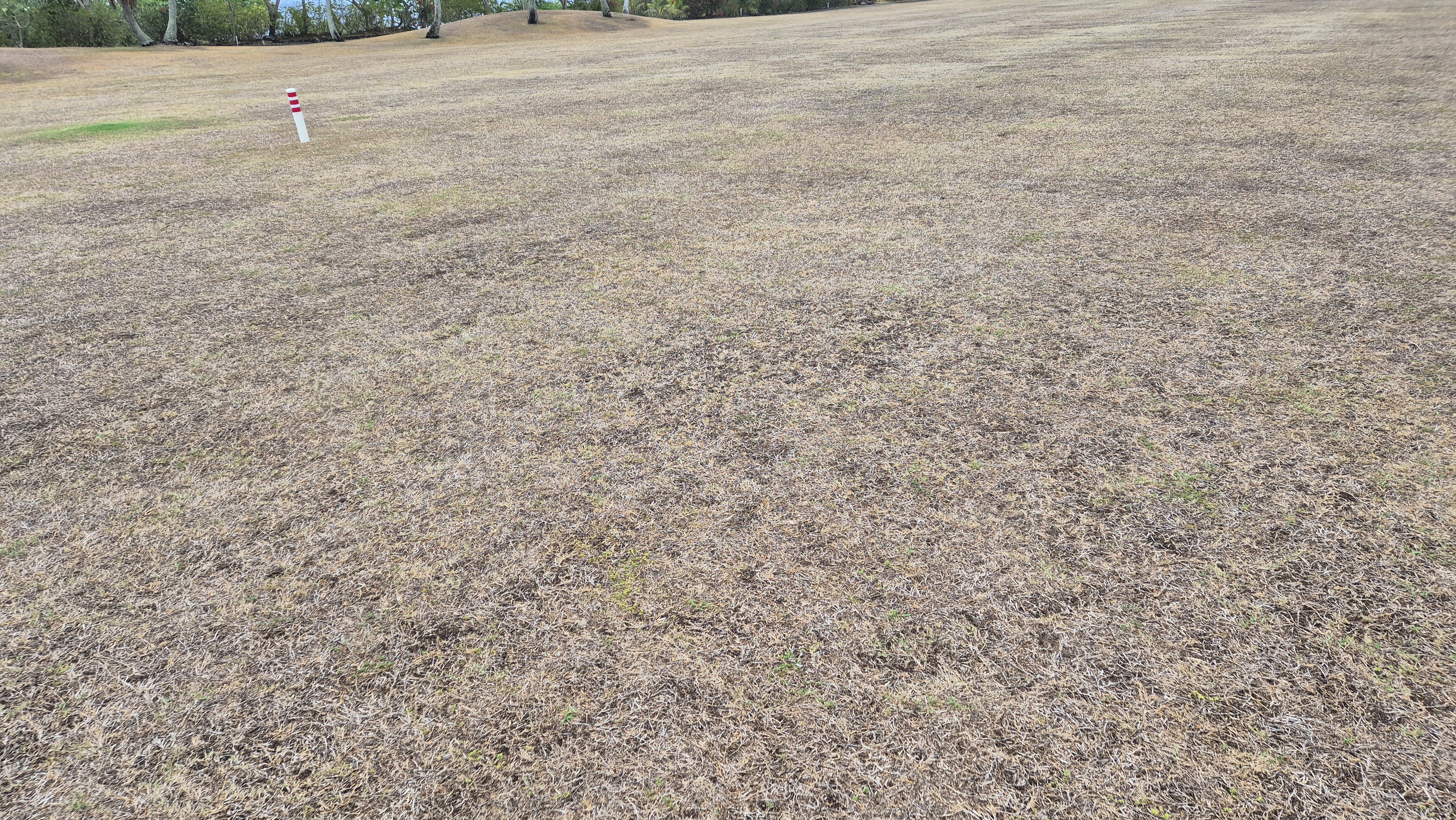 코랄오션cc 골프 라운드