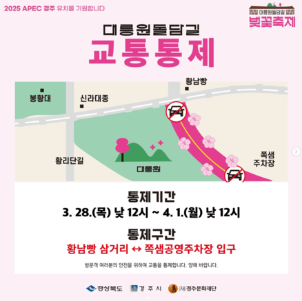 경주 벚꽃축제 연기 일정 실시간 개화현황 대릉원돌담길 교통통제 주차