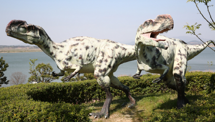 해남 공룡박물관