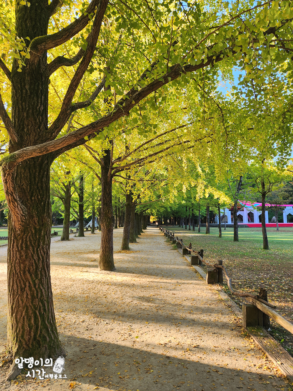 #27 엄마랑 춘천 남이섬 모녀 백패킹 _캠핑 초보자 박지 추천 - undefined - 첫 배 들어오기 전 고요한 남이섬의 아침 #27 엄마랑 춘천 남이섬 모녀 백패킹 _캠핑 초보자 박지 추천 - undefined - 첫 배 들어오기 전 고요한 남이섬의 아침