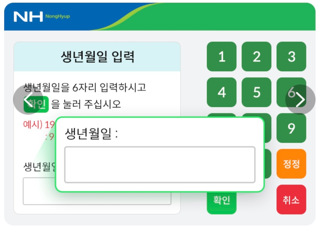 생년월일 입력