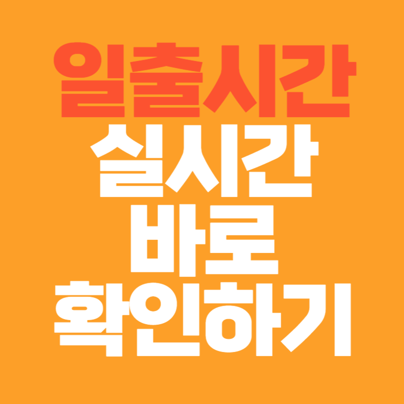 일출 시간 실시간 확인