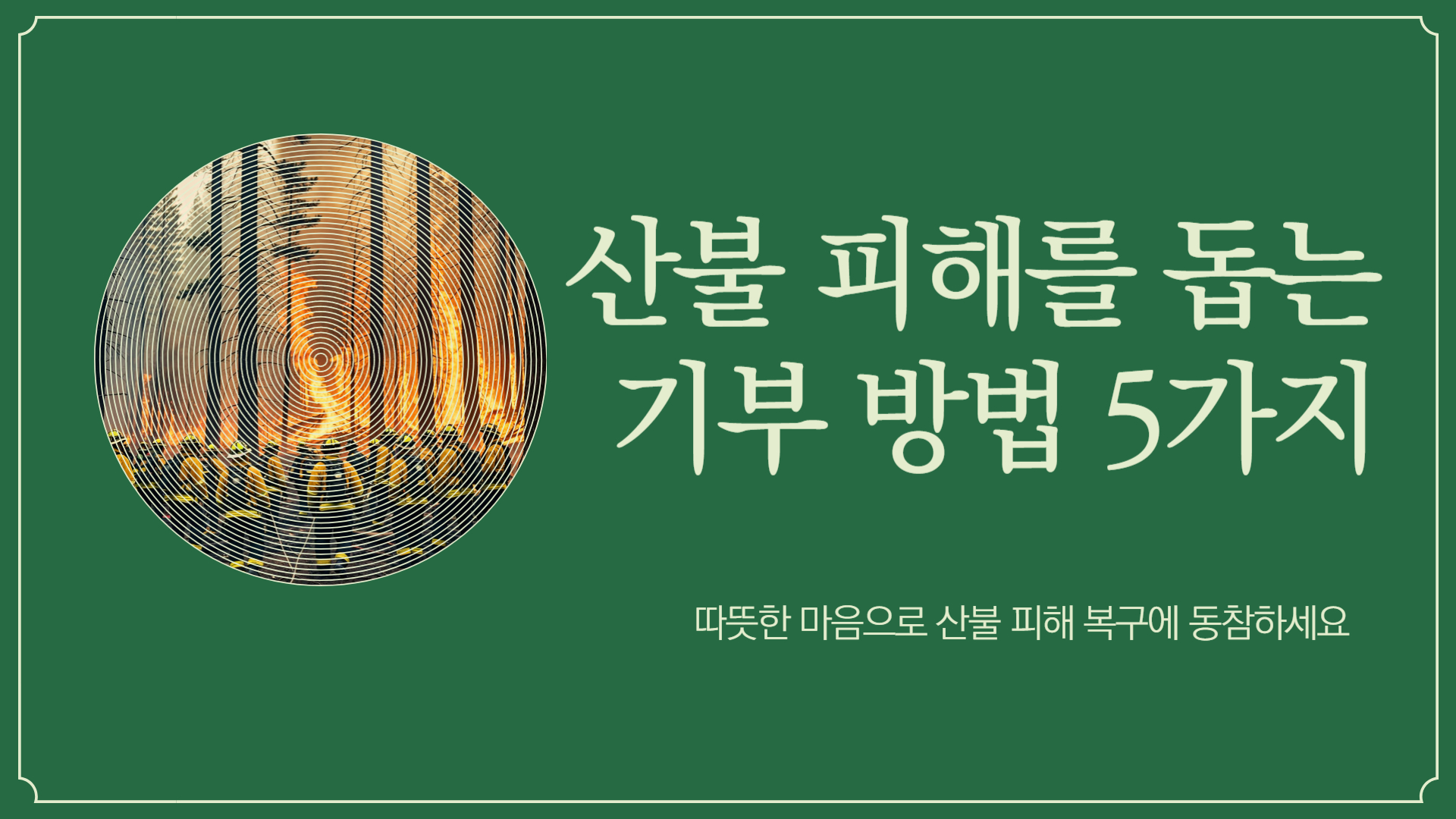산불 피해를 돕는 기부 방법 5가지