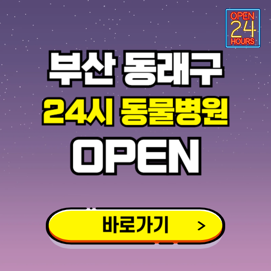 부산 동래구 24시 동물병원 진료하는 곳 ❘ 설날 휴일 야간 심야 문여는곳 찾기 ❘ 응급진료