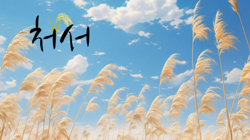 2025년 처서 인사말 예시