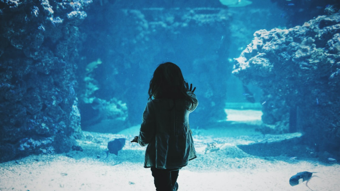 Independence in Children 1