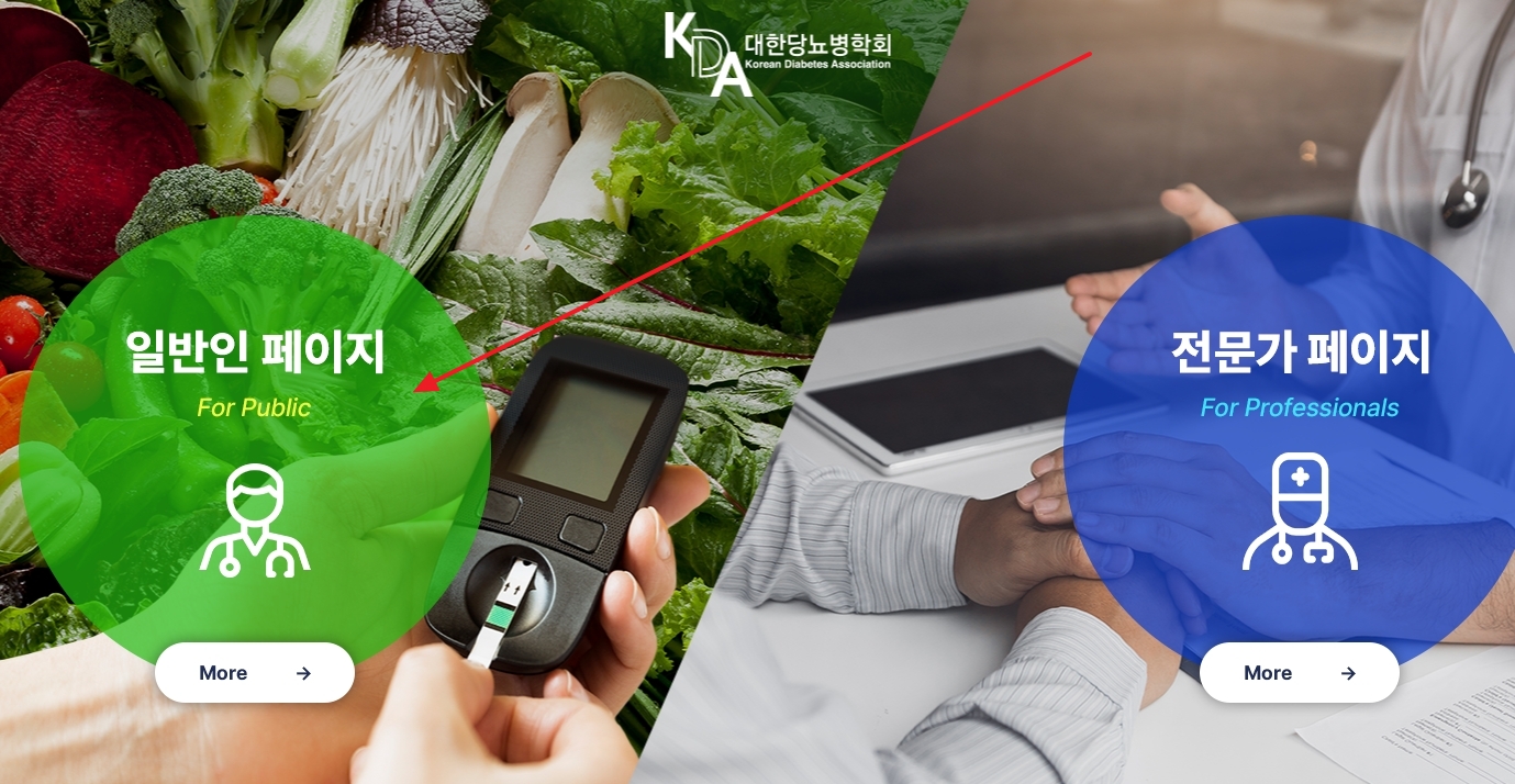 대한당뇨병학회 홈페이지에서 일반인 메뉴 선택