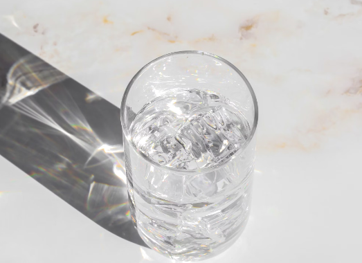 차가버섯 분말 활용 : 물