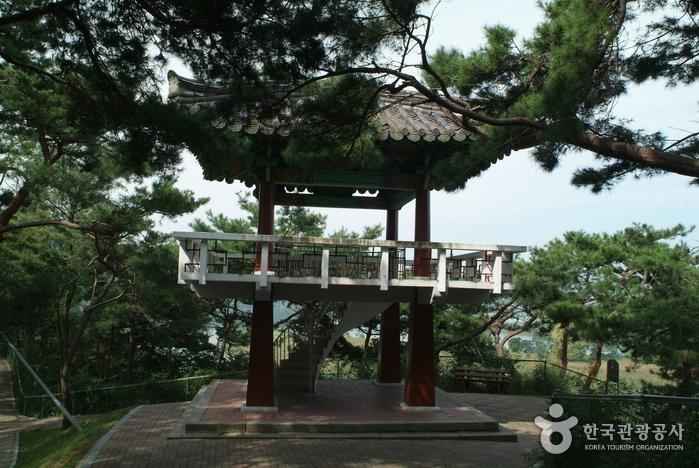 충주 탄금대
