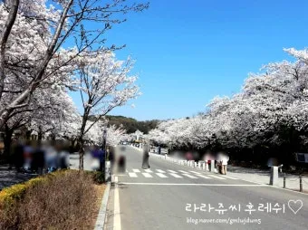 경기도 봄 여행지 추천 10곳 완벽 코스 가이드북_9