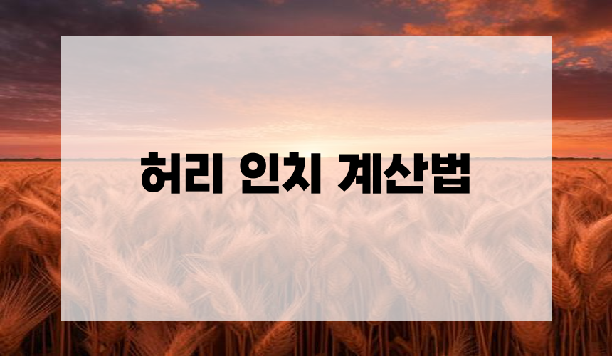 허리 인치 계산법
