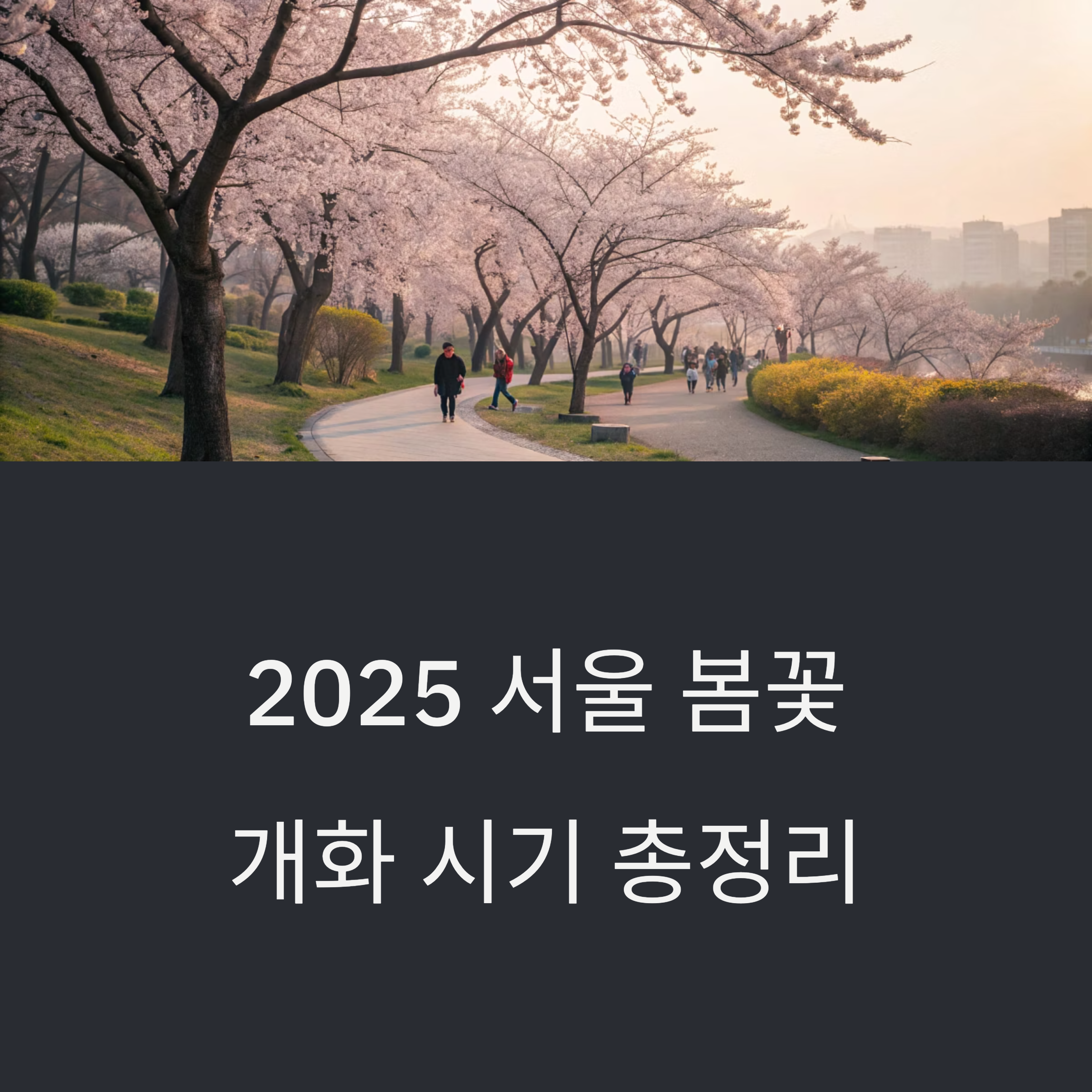 2025 서울 봄꽃 개화 예상 총정리