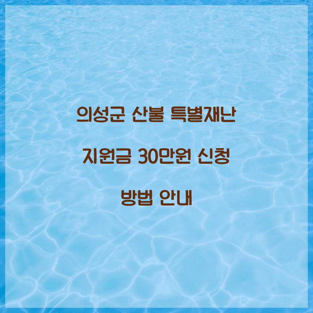 의성군 산불 특별재난 지원금