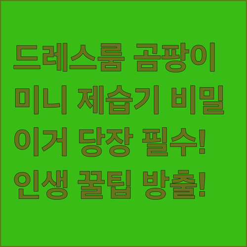 원룸 드레스룸 곰팡이 습기 싹 해결하..